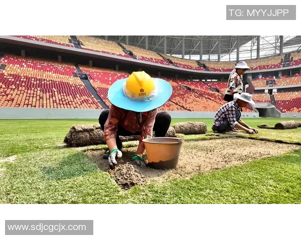 成都足球队在世界杯中的表现分析与状态评估